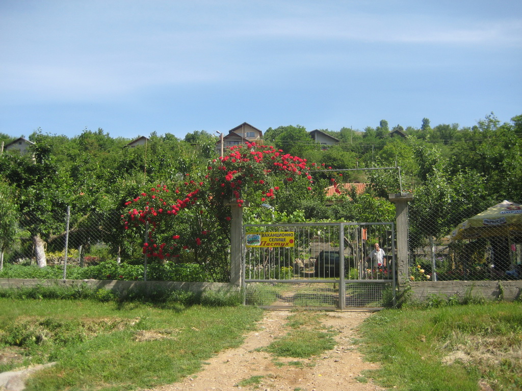 pastuh - 04.06_07.2011